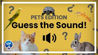 Guess the Sound! Pets Trivia | Improves Listening & Attention Skills