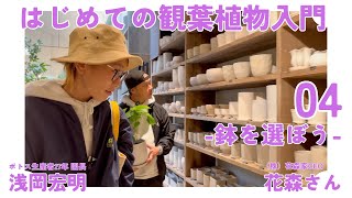 【観葉植物ビギナー】コレだけで超豪華に変身/プラ鉢派？陶器鉢派？