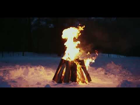 Taylor Swift - Folklore & Evermore Complete Songs [Relaxing Music in Cozy Campfire Ambience]