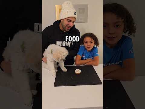 Dog Treat or Food? #games #challenge #funny #trending #youtubeshorts #shorts #shortvideo #short #fyp