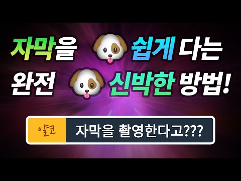 [유튜버 꿀팁] 자막을 편집 없이 다는 완전 새롭고 신박한 방법! Feat. Easy Subtitle