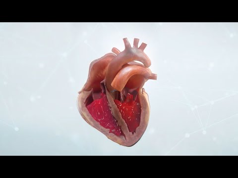 The future of heart failure research and treatment