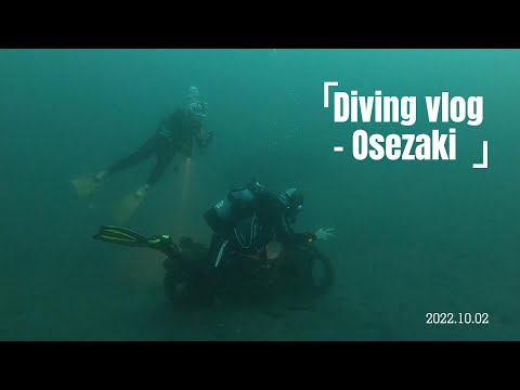 Diving vlog - Osezaki (大瀬崎)