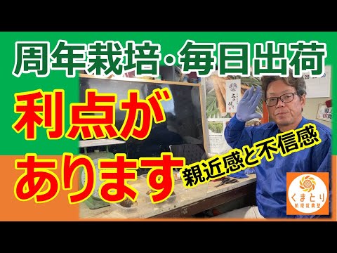 【単純接触効果】周年栽培・毎日出荷する理由