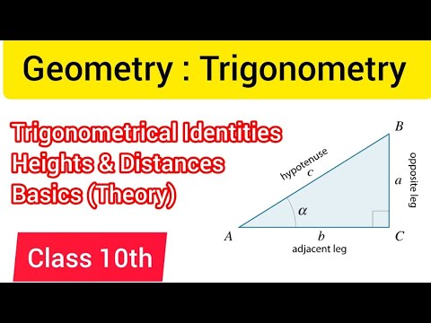 Trigonometry Basics: Ratios, Identities, Complementary Angles & Height-Distance | Class 10