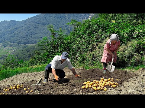 The Fascinating Life of Azerbaijani Long-Livers on the Mountain. Planned Preservation for the Winter