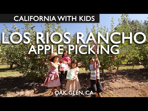 Los Rios Rancho Apple Picking At Oak Glen, CA