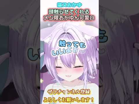 【猫又おかゆ】頭触らせてくれるおかゆんが可愛すぎる！【ホロライブ切り抜き/ショート】