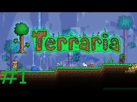 LuxGamer Terraria mam Angelo an WeedyKiller#1🎮