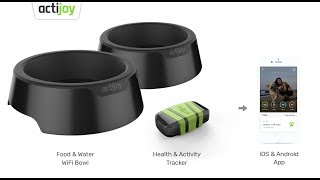 Actijoy connected devices for dogs