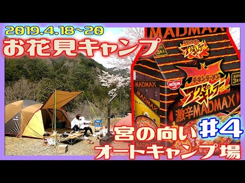 4月お花見キャンプ　宮の向うキャンプ場♯４　【奈良県】