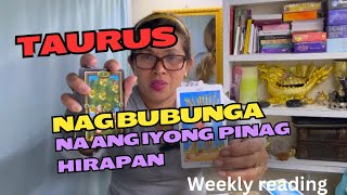 TAURUS ♉️ WEEKLY READING 🔮☘️💰💃🤯⭐️