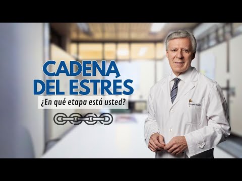 CADENA DEL ESTRÉS ¿En qué etapa está usted?