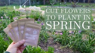 Cut Flowers I'm Growing for Spring & Summer 💐🌼 Australian Cut Flower Farm Seed Haul