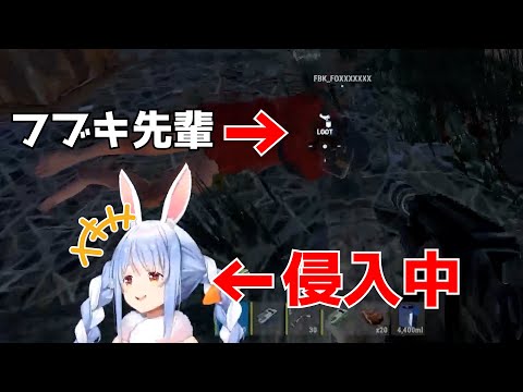 【RUST】白上フブキの拠点に侵入する兎田ぺこら【兎田ぺこら切り抜き】