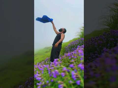 Neelakurinji/ Mettukurinji blooms in Paruthumpara , Idukki #neelakurinji #paruthumpara #idukki