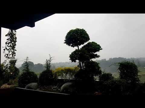 Relaxing Rainy Day "Tagaytay"