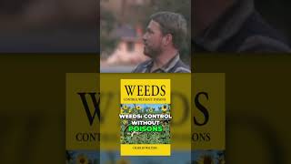 Calcium vs. Weeds (like Morning Glory) with Daniel Unruh #regenerativefarming #soilhealth #bindweeds