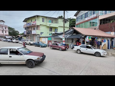 A Day Walking Around San Ignacio Belize With Stray Dogs / Visiting Cahal Pech Maya Ruins & Iguanas