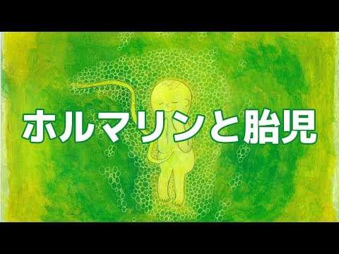 【心が安らぐBGM】ホルマリンと胎児　秋山裕和