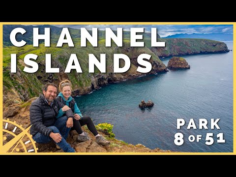 🦊🐳 Found NOWHERE ELSE on EARTH: Channel Islands National Park  | 51 Parks with the Newstates