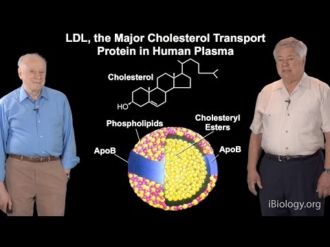 Brown and Goldstein (U Texas Southwestern): Molecular Basis of Familial Hypercholesterolemia