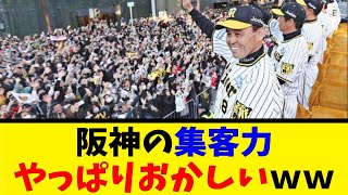 阪神 オリックス優勝パレードで改めて明らかになった、阪神の集客力のヤバさｗｗ【反応集】【野球反応集】【なんJ なんG野球反応】【2ch 5ch】