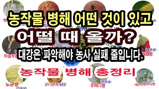 농작물 병해 종류와 발생원인 및 방제법 총정리(병충해 중 해충을 제외한 병해, 곰팡이 즉 진균성 병해와 박테리아 즉 세균 병해, 바이러스 병해 종류 및 발생 원인 및 방제법 안내)