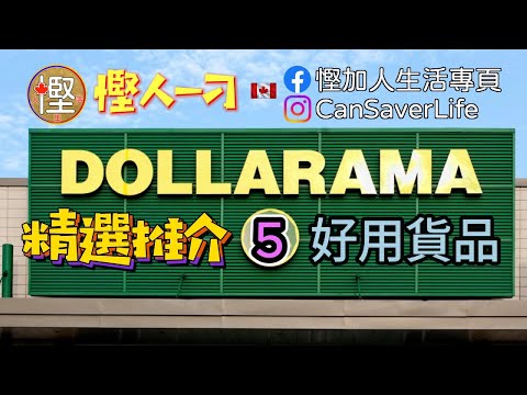 慳人一刁 - Dollarama 精選貨品 (5) #多倫多美食 #多倫多生活 #多倫多