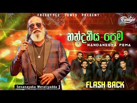 Nandaneeya Pema | නන්දනීය පෙම | Senanayaka Weraliyadda | Flash Back | 2024 Live Show With Flash Back