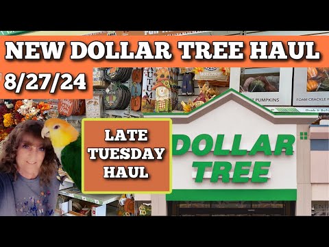 Check Out My Latest Dollar Tree Finds!