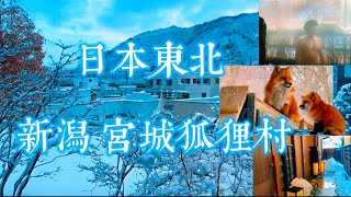 一日衝日本東北二縣 宮城、新潟｜藏王狐狸村｜越後湯澤 住溫泉旅館 雪之花｜飯店開箱