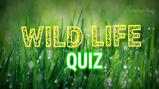 Interesting wildlife quiz | 10 Amazing facts | version 2.0