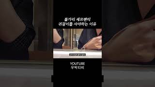 불가리 세르펜티 바이퍼 이어링을 사야하는 이유 #불가리 #불가리이어링 #불가리귀걸이 #세르펜티 #세르펜티이어링