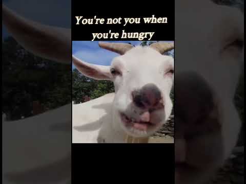 You're not you when you're hungry #funnyvideo #funny