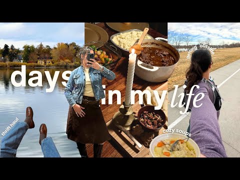 days in my life *living somewhere new* (thrift haul, mental health struggles & cozy stews)