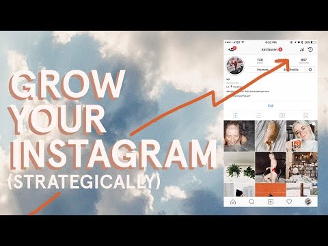 How to Grow Your Instagram! // Kelly Lauren