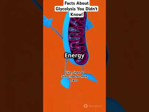 Facts About Glycolysis You Didn't Know! #glycolysis #biochemistry  #science #gcse #ncert #glycolytic