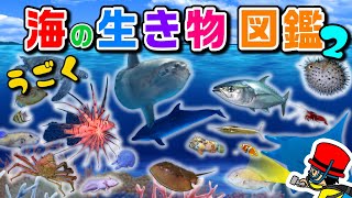 【子供が喜ぶ水族館】海の生き物 お魚さんたちが大集合！名前と特徴を動画で覚える生き物図鑑②★イルカ・チンアナゴ・カニ・たこ・クラゲ★未就学児向け教育｜Fish【知育動画】sea animals