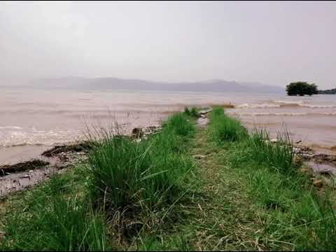 Wonderful Grass View at Tarbela Lake (Tarbela Dam)