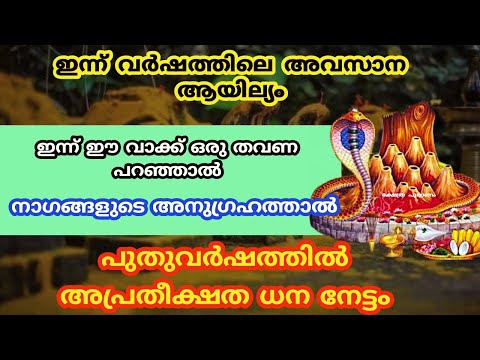 ഇന്ന് അമ്മമാർ ഈ വാക്ക് പറഞ്ഞാൽ നാഗ പ്രീതിയാൽ മക്കൾക്ക് സൗഭാഗ്യ വർഷം...ayilyam nakshathra ..vritham