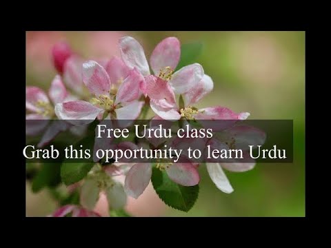 Urdu class day 14