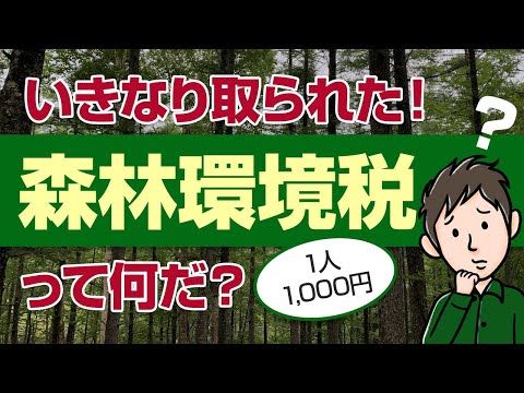 森林環境税って何？いきなり取られた謎の税金をわかりやすく解説します