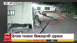 Pune Leopard Attack | देगांव गावात बिबट्याची दहशत, अंगणात झोपलेल्या कुत्र्यावर बिबट्याचा हल्ला