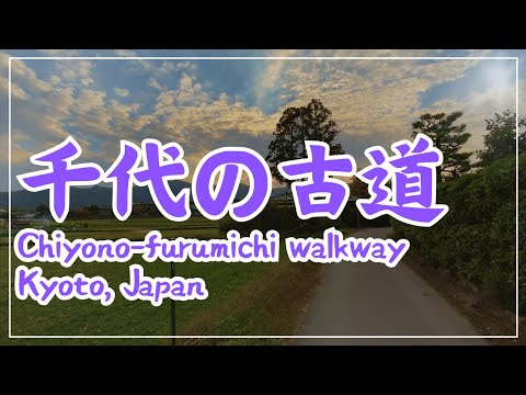 【3min Kyoto】3分で巡る「千代の古道」~Chiyono-furumuchi walkway, Kyoto Japan~