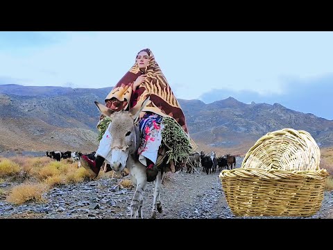 The life of a Village Girl in Iran | Shepherding and Handicrafts | Iranian family