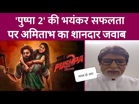 अमिताभ ने कमाल कर दिया Amitabh bachhan on Allu Arjun Pushpa 2 | Pushpa the rule collection review