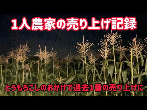 夜中のとうもろこし畑は誰かが鳴いてる笑