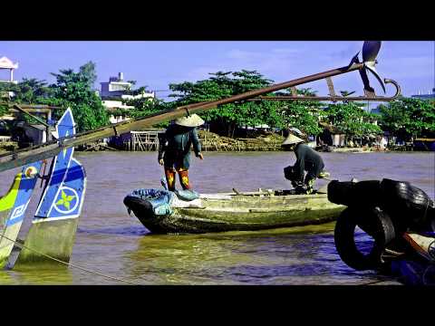 Travel in Vietnam Fishfarm on Mekong River + Morning Market