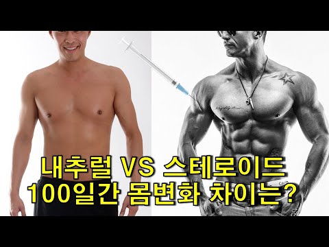 내추럴과 약물 사용자가 100일간 운동할 때 근육량 차이는??